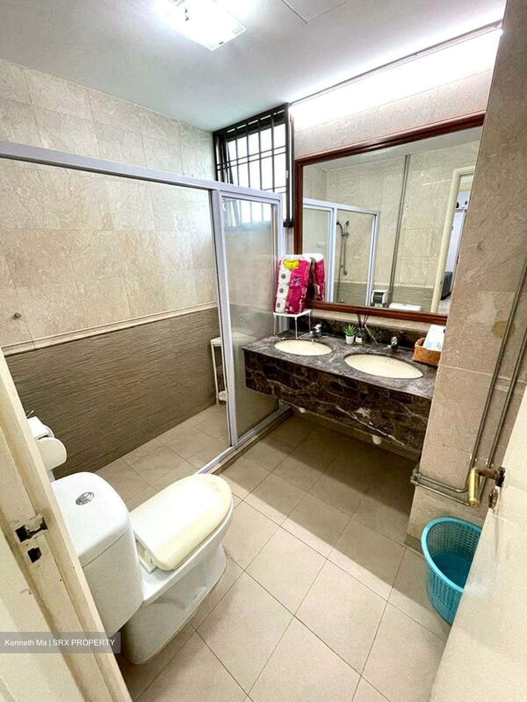 Parc Oasis (D22), Condominium #556493181